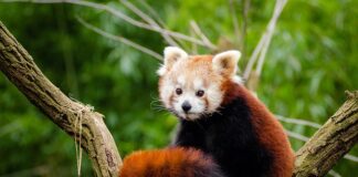 Od czego się dużo pierdzi? Od czego się dużo pierdzi?