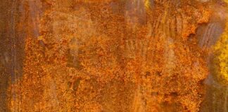 Co wypłukuje z organizmu żelazo? Co wypłukuje z organizmu żelazo?