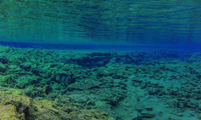 Co zamiast butli CO2 do akwarium?