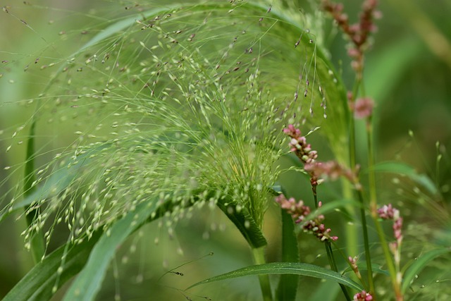 Skąd pochodzi pieczywo z Lidla? Skąd pochodzi pieczywo z Lidla?