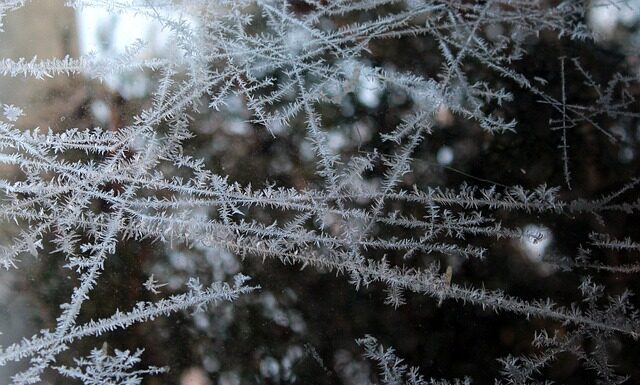 Czy można mrozić masło? Czy można mrozić masło?