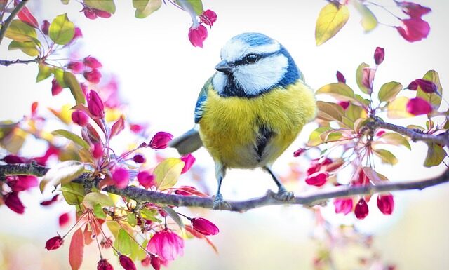 Czy można jeść ser żółty przy cukrzycy?