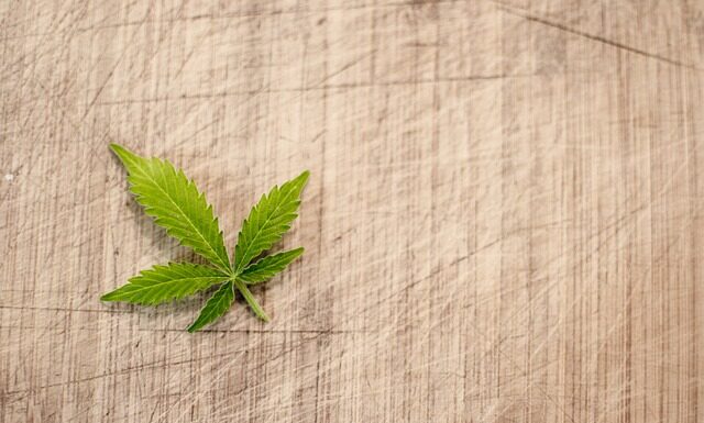 Ile kosztuje legalizacja butli gazowej CO2? Ile kosztuje legalizacja butli gazowej CO2?