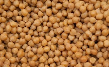 Czy ciecierzyca ma żelazo?