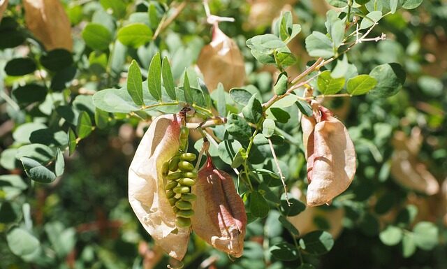 Ile bąbelków CO2 w akwarium 450l? Ile bąbelków CO2 w akwarium 450l?