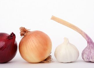 Ile kosztuje kilogram cebuli w Niemczech? Ile kosztuje kilogram cebuli w Niemczech?