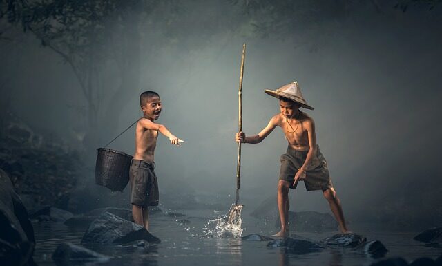 Czy ryby mogą być bez swiatla?