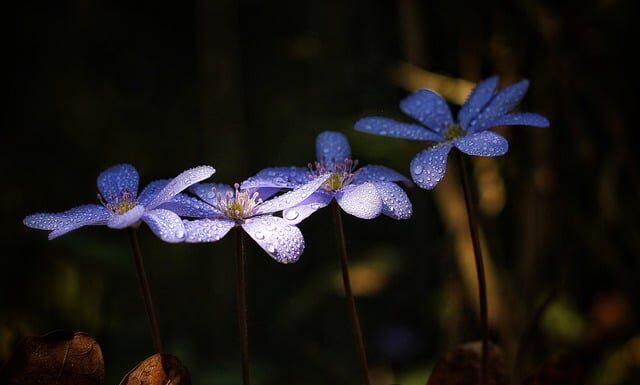 Jaki jest stolec przy chorej wątrobie? Jaki jest stolec przy chorej wątrobie?